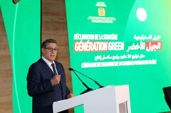 أخنوش: الحكومة تولي أهمية خاصة لعدد من سلاسل الإنتاج لأهميتها في تحقيق السيادة الغذائية